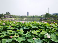 -西海子公园