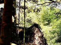 -绍兴东湖风景区