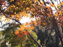 -浙江西子宾馆·瑶园咖啡厅