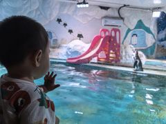 -北戴河圣蓝海洋公园