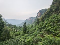 -沐川竹海旅游景区