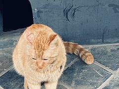 -平安桥天主教堂