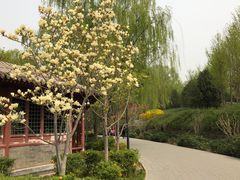 -北坞公园
