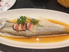 -上海1号私藏菜(黄浦店)