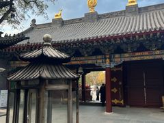 -护国法轮寺