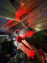 -恐龙探索乐园(磁器口店)