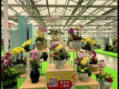 -长春农业博览园