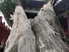 -晋祠博物馆