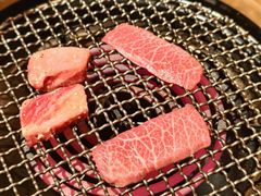 -老乾杯(深圳湾万象城店)