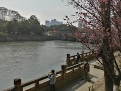 -望江楼公园