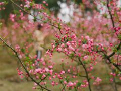 -白塘生态植物园