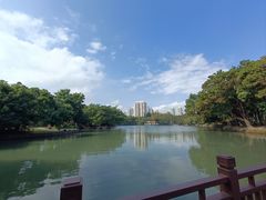 -荔枝公园(福田区)