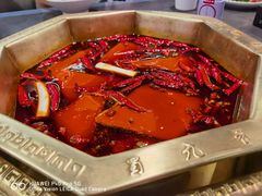 -蜀九香火锅(李家沱店)