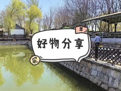 -尚庄度假村·庭台树下·户外烧烤·团建CS·轰趴营地(上庄水库店)