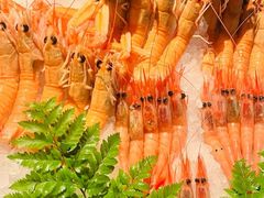 -Mr.Fish鱼鲜生海鲜放题(高德置地冬广场店)