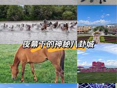 -特克斯八卦城