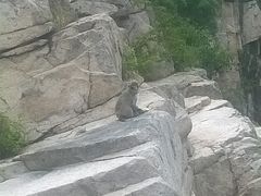 -崂山仰口游览区