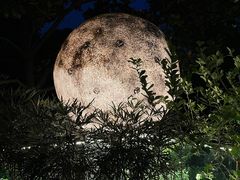 -恬阿姨庭院餐厅·生日宴