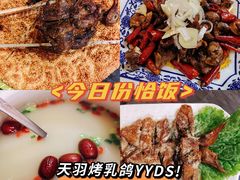 -天羽烤乳鸽店(财大家属院店)