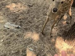 -南戴河国际娱乐中心