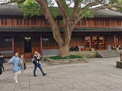 -普陀山风景名胜区-法雨禅寺