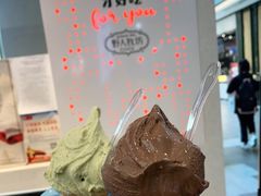 -野人先生现做冰淇淋(西安赛格店)