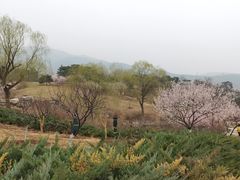 -北京西山国家森林公园