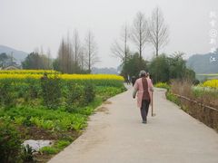 -新安江山水画廊风景区