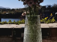 -黄牛肉馆·皖南土菜