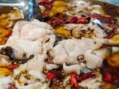 -蜀阳餐厅·金牌水煮鱼