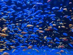 -成都浩海立方海洋公园