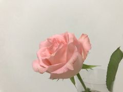 -汀小府·福建客家菜(鼓山沃尔玛店)