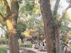 -汇龙潭