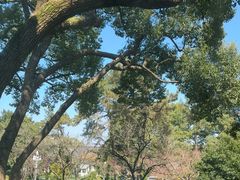 -浙江西子宾馆·瑶园咖啡厅