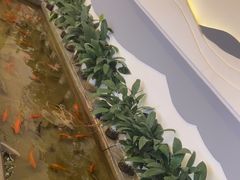 -拈菜(观音桥阳光世纪店)