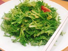 桃仁苦菊-乐和餐饮(活力源店)
