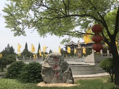 -大槐树寻根祭祖园