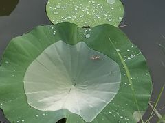 -前关湿地公园