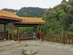 -铁山坪森林公园
