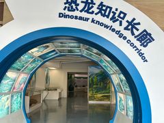 -安徽省地质博物馆