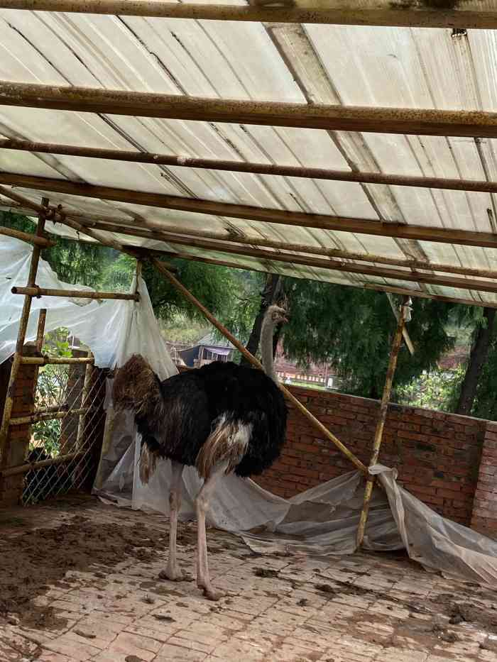 七彩大庄园-"很漂亮的一个地方,位于渝北木耳那边从主城.