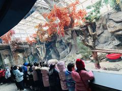 -蓝莓果幼儿园(通州梨园店)