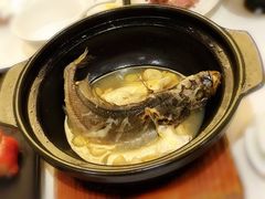 -顺峰(农展馆店)