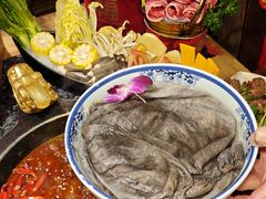 -蜀大侠火锅(总府路店)