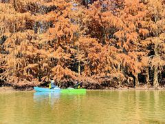 -上海海湾国家森林公园