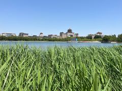 -莲花池公园