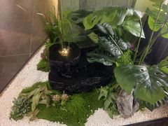-大龙燚火锅(太古里店)