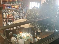 -三强鸽子(中原路店)
