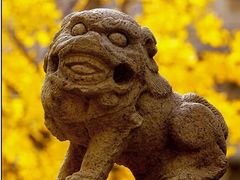 -北京石刻艺术博物馆(五塔寺)