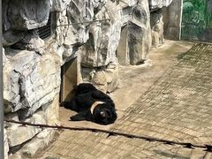 -黔灵山公园
